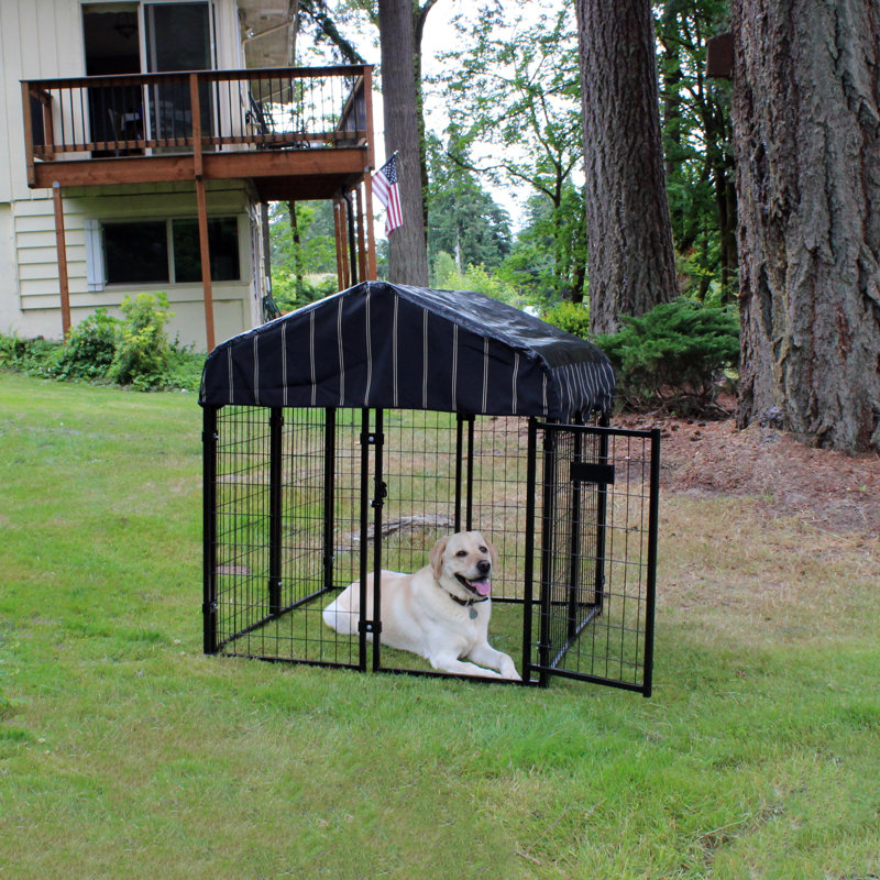 Lucky Dog Pet Resort Steel Yard Kennel Reviews Wayfair